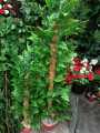 Artificial Flowers & leafs Plant big size 7 foot. 