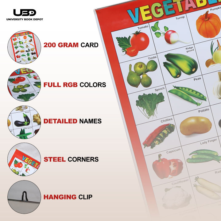 Pack%20of%208%20Wall%20Charts%20for%20Classrooms%20and%20Preschool%20Decoration%20%7C%20Wall%20Posters%20with%20HD%20Pictures%20for%20Kids%20Early%20Education%20on%20200%20Grams%20Laminated%20Card%2020*30%20inches%20-%20Image%203