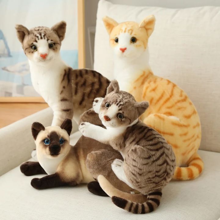 Realistic Cat Plush Toys American Shorthai Siamese Ragdoll Stuffed Doll Lifelike Animal Toy For Children Home Decor Baby Gift