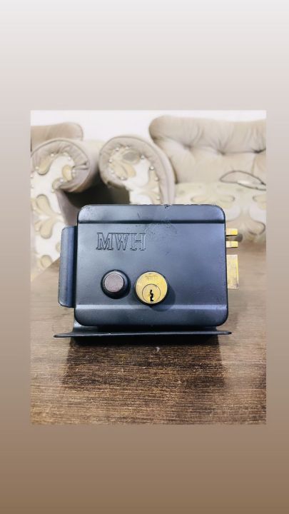 Electric%20lock%20for%20main%20gate%20-%20Image%202