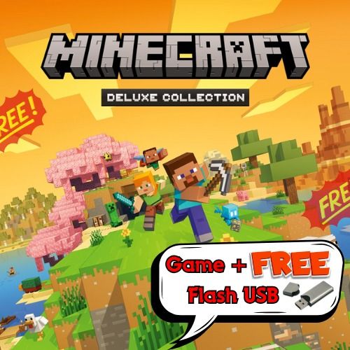 Free High-Speed 64GB Flash with Game Pack(MINECRAFT) | Daraz.pk