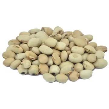 Velvet%20Bean%20%DA%A9%D9%88%D9%86%D8%AC%20%D8%B3%D9%81%DB%8C%D8%AF%20(Konj%20Safaid)%20-%201%20KG%20-%20Image%202