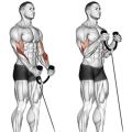 Heavy Duty Tricep Rope Attachment Pull Down/Extension Tricep Fitness Bodybuilding Gym Abdominal Crunches Cable Pull Down Laterals Biceps Muscle Training Rope. 