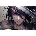 Dororo Canvas Wall Decals Art Canvas Fabric Cloth Poster Custom Home Decor 30x45cm .6.15. 