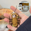 Cartoon Cockroach Dolls Keychain Material Package Novelty Phone Pendant Creative Backpack Decoration Accessories Birthday Gifts ANLAN. 