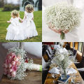 1/5Pcs Baby's Breath Gypsophila Artificial Flowers / Real Touch Decorative Artificial Flower Holding Bouquet Bride Bouquet. 