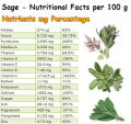 Sage Herb Seeds. 