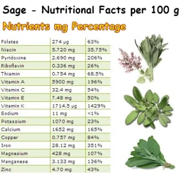 Sage%20Herb%20Seeds%20-%20Image%203