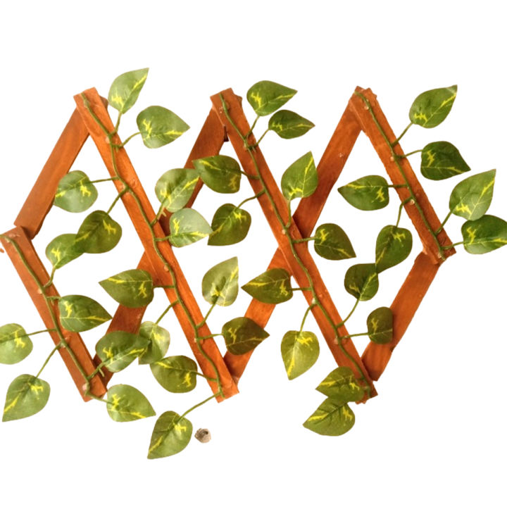 Money%20Plant%20Leaves%20Fence%20Wooden%20Frame%20Wall%20Hanging%202ft%20Retractable%20Garden%20Decoration%20with%20Bale%20of%20Leaves%20-%20Image%203