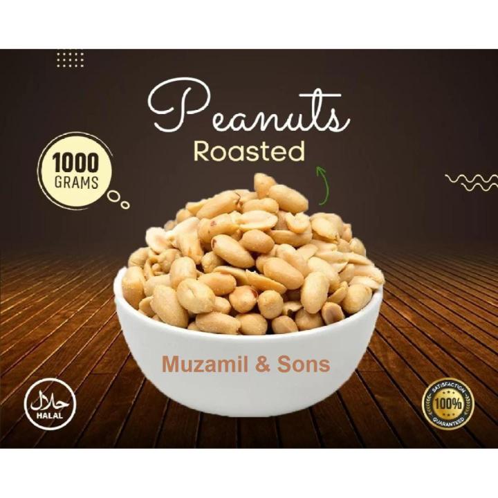 Dry Roasted Peanuts (Salted) Peanuts nuts 1KG