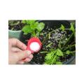 1Kg Epsom Salt Natural Mineral Fertilizer Plants / Beauty Health. 