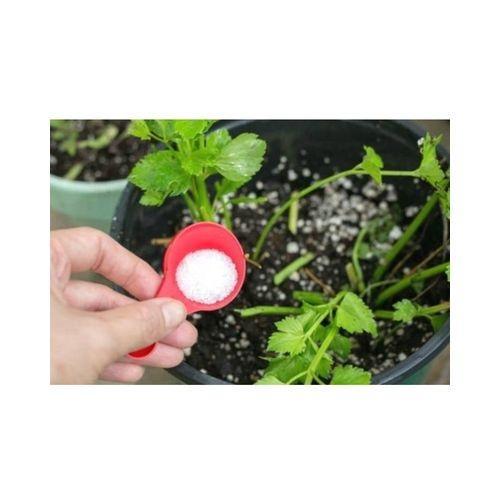 1Kg%20Epsom%20Salt%20Natural%20Mineral%20Fertilizer%20Plants%20/%20Beauty%20Health%20-%20Image%203