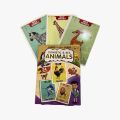 Wildlife Wonders/Adventures 3D Flash Cards: A Fun and Interactive Learning Experience, Explore Land and Sea Creatures, 24 Double-Sided 3D Flash Cards featuring Animals and Sea Animals. 