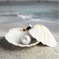 White Pearl Moti Stone orignal. 