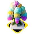 DIY Growing Tree Paper Sakura Crystal Trees Desktop Cherry Blossom Toys Paper Tree Gift Novelty Toy Exploring Science. 