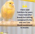 CALCIFORM HiD3 in Loose & Company Packing Liquid Calcium for Cage & Aviary Birds ( UK Aviform ) Imported. 