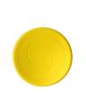 Frisbee for Everyone. 