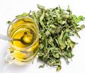 Stevia Dried Leaves n Stems (Stems are also Sweet) 50gm - Zero Calories , Weight Loss , Diabetics. 
