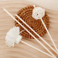 10Pcs/Set Empty Aromatherapy Bottles Essential Oil Diffuser Bottles Perfume Rods Reed Diffuser Sticks. 