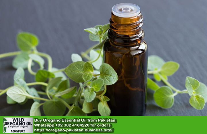 Oregano%20Essential%20Oil%20Pakistan%20-%20Image%205