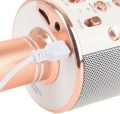 WS-858 Wireless Handheld Microphone KTV Karaoke Stereo USB Player Bluetooth MIC. 