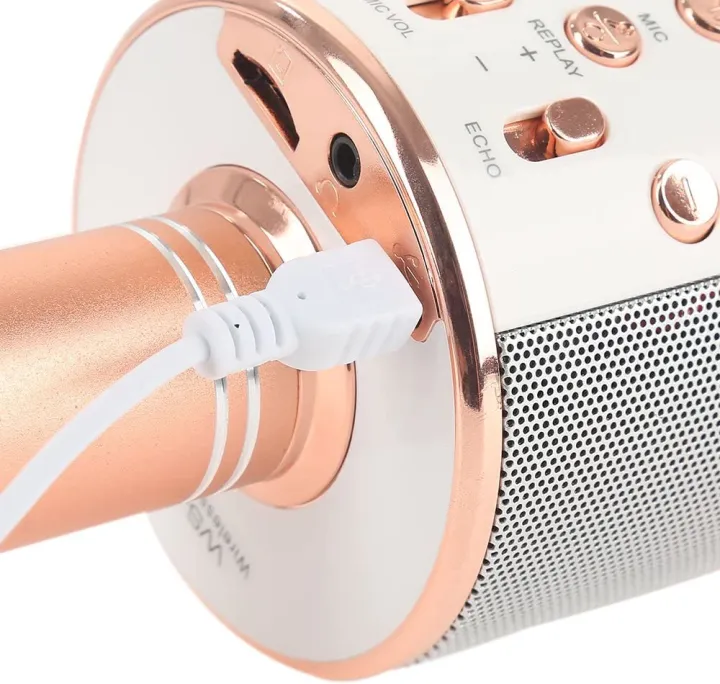 WS-858%20Wireless%20Handheld%20Microphone%20KTV%20Karaoke%20Stereo%20USB%20Player%20Bluetooth%20MIC%20-%20Image%204
