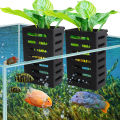 Fish Tank Hydroponic Box Hydroponic Box Aquarium Plant Holder with Hooks Suction Cups Easy to Hang Improves Water Circulation Aquarium Planter with Suction Cups. 