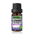 Lavender Essential Oil , 100% Pure Therapeutic Grade, Steam Distilled, 100% Pure, Vegan, Aromatherapy, Diffuser, Ceramic Diffuser, Pure, Concentrated, EO, Aroma Diffuser. 