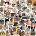 50PCS Cat MEME Funny Animals Stickers Vintage Toy DIY Kids Notebook Luggage Motorcycle Laptop Refrigerator Decals Graffiti. 