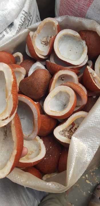 COCONUTS%201%20KG%20high%20quality%20-%20Image%204