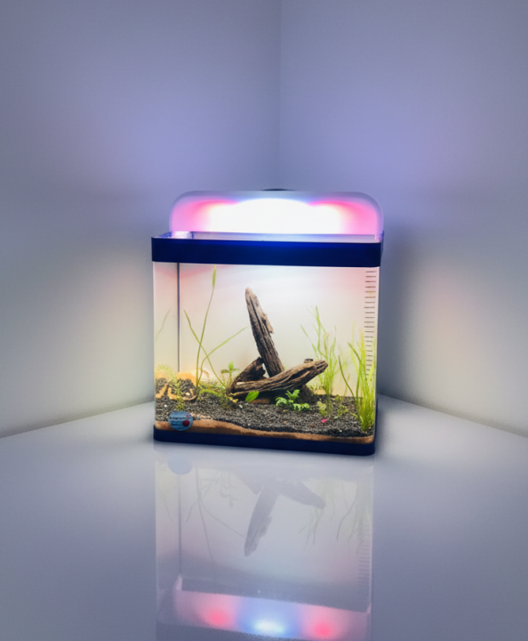 Premium Acrylic Aquarium with Integrated Auto-Filtration and Dynamic ...