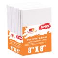 CuztomCraft - 12 Pcs - 8x8 Primed Canvases for Painting, 100% Cotton Stretched Canvas, Art Supplies for Acrylic Pouring, Oil Painting and Watercolor, Acid Free Canvas - Art Panel - Small Canvas - Artist. 