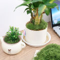 【Exclusive Discount】 1/3 Pack Mini Landcape imulated Gra Artificial Green Plant Eternal Life Mo DIY Craft Gra Garden Home Room Decor 30/50/90/150g. 
