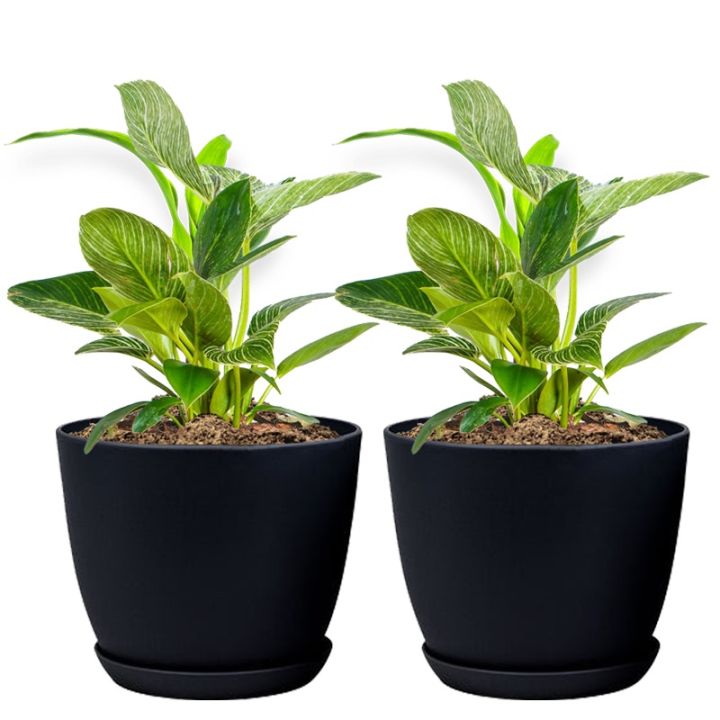 Plant Pots Set of 2 Pack 10 inch,Planters for Indoor Plants with ...