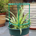 【ZOSR】Plastic Plant Support Pile Half Round Climbing Vines Stake Bonsai Fixing Rod Garden Plant Stake Holder Flower Ring Support Rack. 