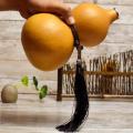 Perfeclan Dried Gourd Water Bottle Gourd Craft Calabash Ornament Decoration, Portable Water Bottle Water Gourd Gourd Jug for Camping, Outdoor. 