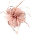 Liummrcy Fascinators for Women,Flower Wedding Races Party Fascinator Net Hat,Fascinator with Headband Clip for Wedding Decorations Fascinators For Women,Pale Pink Fascinator,Bride Hat,Pink. 