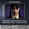Wednesday Addams Water Proof PVC Panaflex Wallpapers Netflx Edition. 