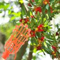 1pc Fresh fruit picking basket gardening catcher collector for picking apples mango. 
