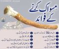 Peelu Miswak Natural Toothbrush 8 inch Approx | پیلو مسواک. 