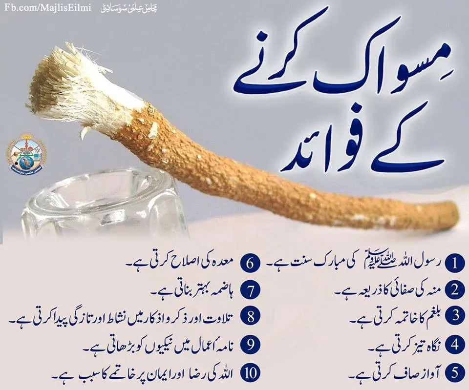 Peelu Miswak 3 pcs Approx 8 inch Best for Prayer Daraz.pk