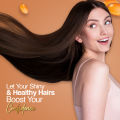 Arena Gold Biotin Shampoo 400ml |Formulated With Pro Vitamin B5 And Biotin | Hydrate, Soften And Add A Boost Of Volume To The Hair| Anti Dandruff| Hair Fall Shampoo| Herbal Organic Hair Nourishing| Nurtures And Repairs Hair| Shampoo. 