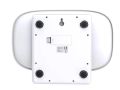 Digital Small Scales for Weighing kitchen items and small pets. 