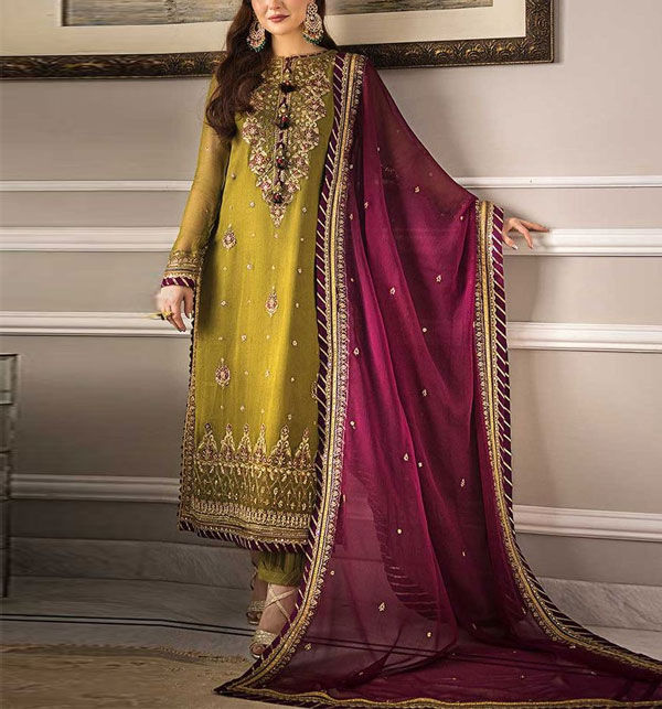 green emerald velvet dress Handwork Heavy Embroidered Fancy White Chiffon Party Wear Dress – Best  Price Online in Pakistan main image 0