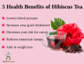 SK ORGANIC Hibiscus powder For Hair Fall And Growth 150g. 