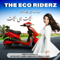 Road King R6 Electric Scooter with Lithium Battery - Powerful 650W Motor, 90 KM Mileage, Top Speed 60 KM, Fast 2-3 Hr Charging. 