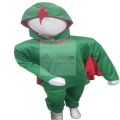 Parrot Costume For Kids For 4 Year To 10 Year. 