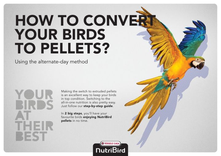 NutriBird%20B-18%20Breeding%20Food%20for%20Budgies%20&%20Small%20Parakeets%20-%20Breeding%20food%20for%20budgies%20and%20other%20small%20Parakeets%20%20(VerseleLaga%20Belgium)%20-%20Image%206