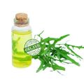 Taramira Oil - Arugula Seed Oil – Anti Lice & Nourished Scalp [تارامیرا]  - 50 ml. 
