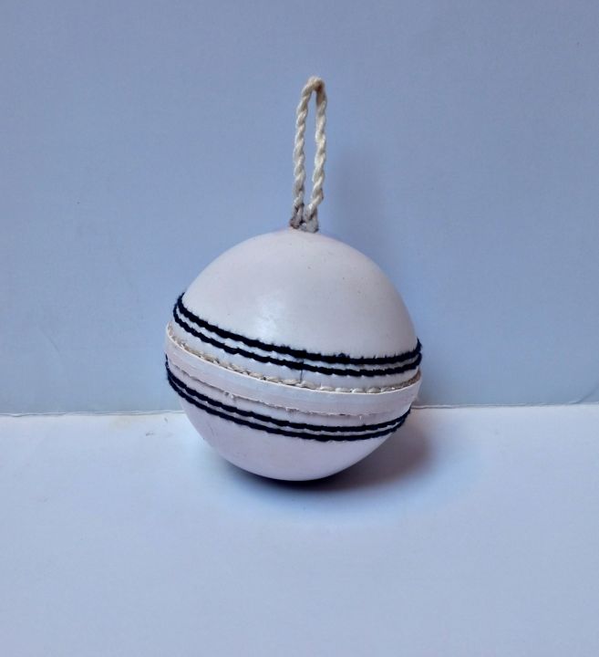 Hanging%20Practice%20Ball%20with%20and%20without%20elastic/rope%20Hangable%20Practice%20ball%20for%20Shots%20Practice%20Indoor%20Hangable%20Practice%20Ball%20to%20play%20cricket%20by%20your%20own%20%7C%20by%20Partners%20Collections%20-%20Image%205